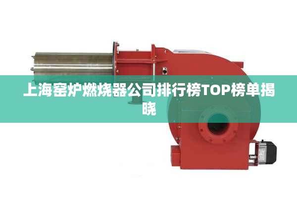 上海窑炉燃烧器公司排行榜TOP榜单揭晓