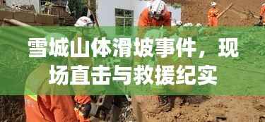 雪城山体滑坡事件,现场直击与救援纪实