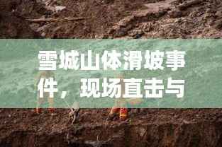 雪城山体滑坡事件,现场直击与救援纪实