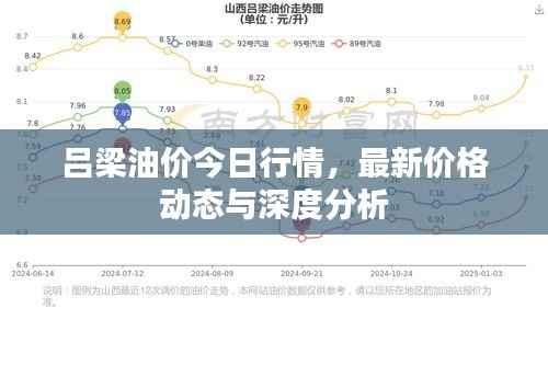 吕梁油价今日行情,最新价格动态与深度分析