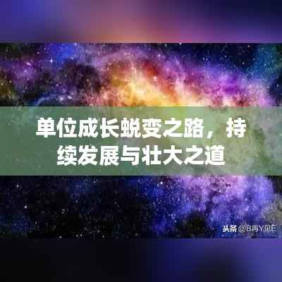 单位成长蜕变之路,持续发展与壮大之道