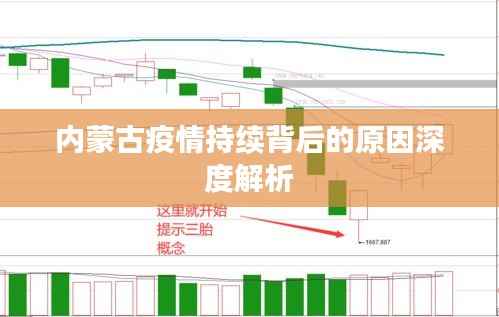 内蒙古疫情持续背后的原因深度解析
