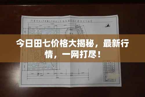 今日田七价格大揭秘,最新行情,一网打尽!