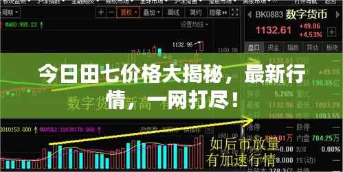今日田七价格大揭秘,最新行情,一网打尽!