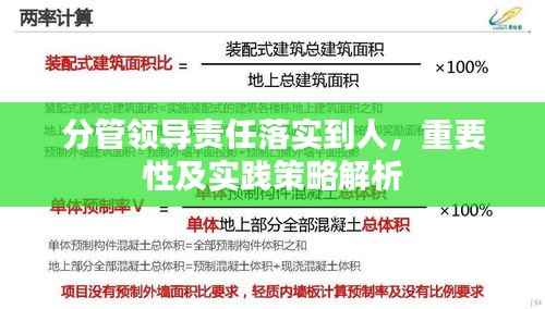 分管领导责任落实到人,重要性及实践策略解析