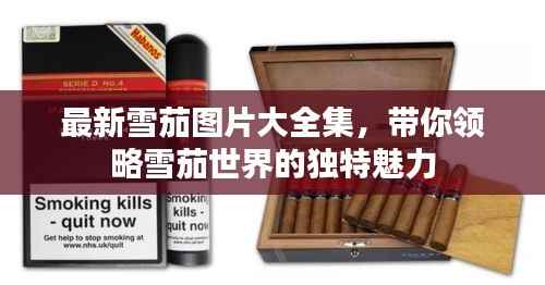 最新雪茄图片大全集,带你领略雪茄世界的独特魅力