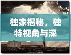 独家揭秘，独特视角与深度洞察的探索之旅