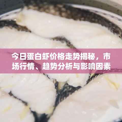 今日蛋白虾价格走势揭秘，市场行情、趋势分析与影响因素探讨