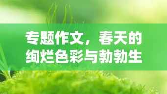专题作文,春天的绚烂色彩与勃勃生机