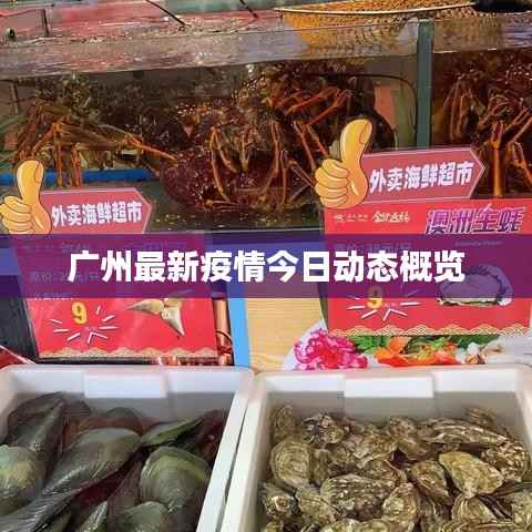 广州最新疫情今日动态概览